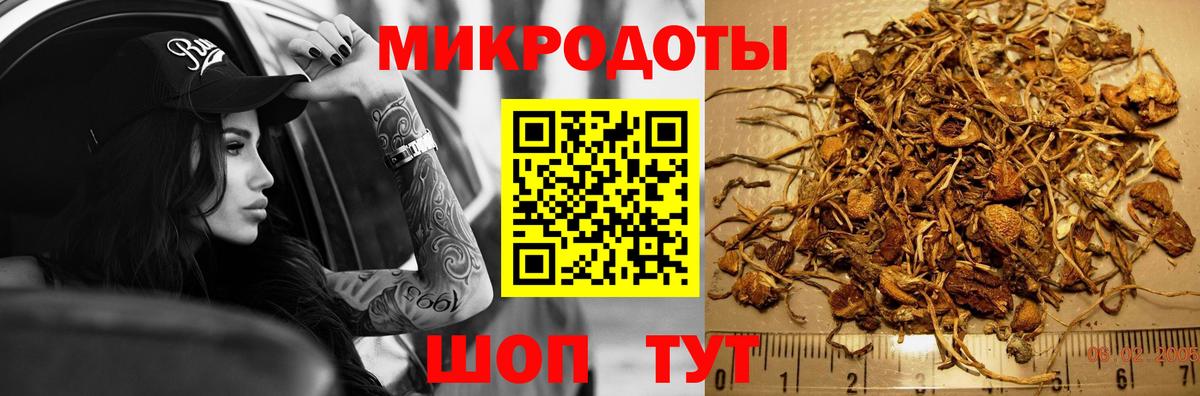 Псилоцибиновые грибы ЛСД  Псилоцибиновые грибы мухоморы  Вход с VPN  Димитровград 