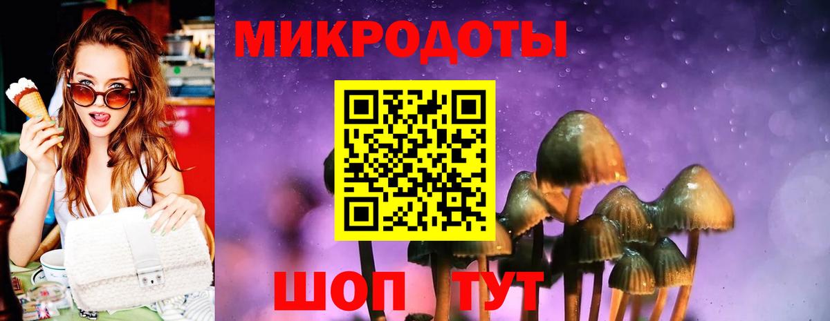 Галлюциногенные грибы Cubensis Димитровград